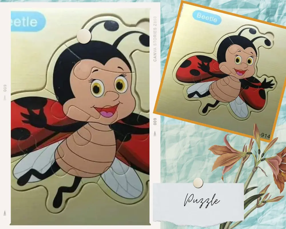 Wooden Puzzle - Bettle